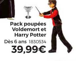 pack poupées voldemort et harry potter