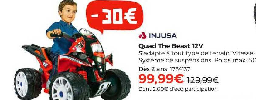 quad the beast 12v injusa