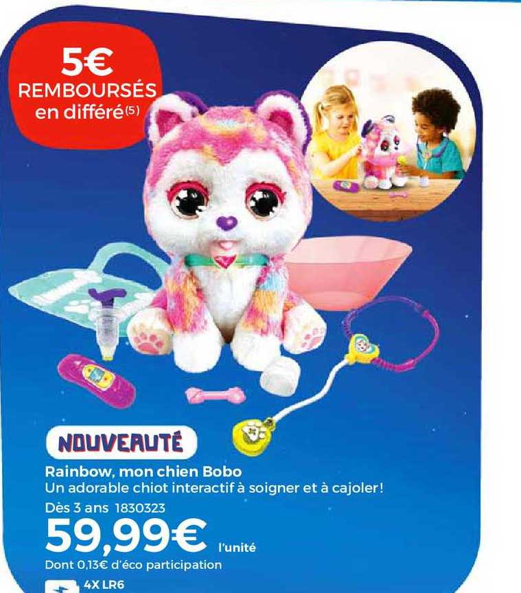 rainbow, mon chien bobo