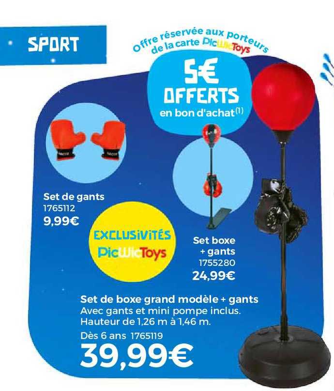set de boxe grand modèle + gants