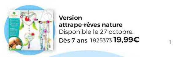 version attrape-rêves nature
