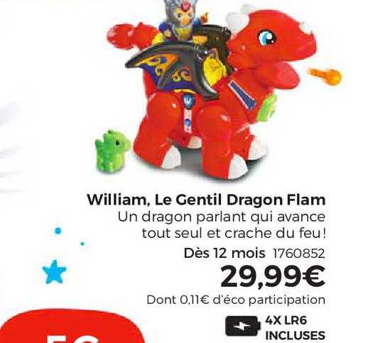 William, Le Gentil Dragon Flam