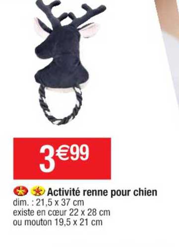 activité renne pour chien