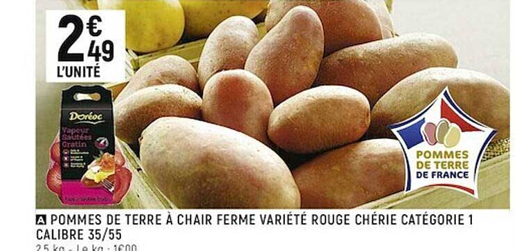 pommes de terre à chair ferme variété rouge chérie