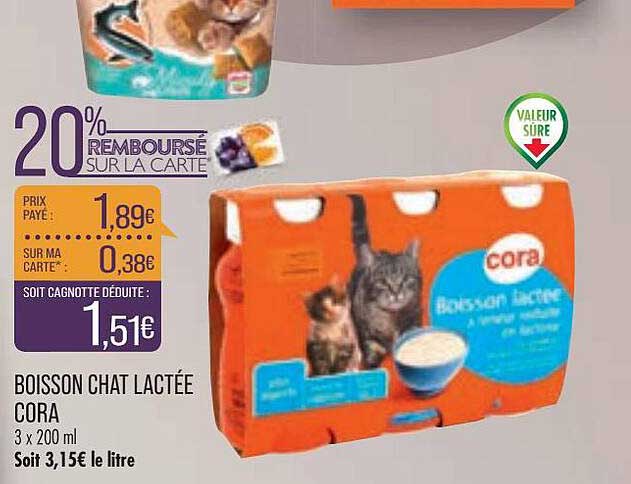 Boisson Chat Lactée Cora