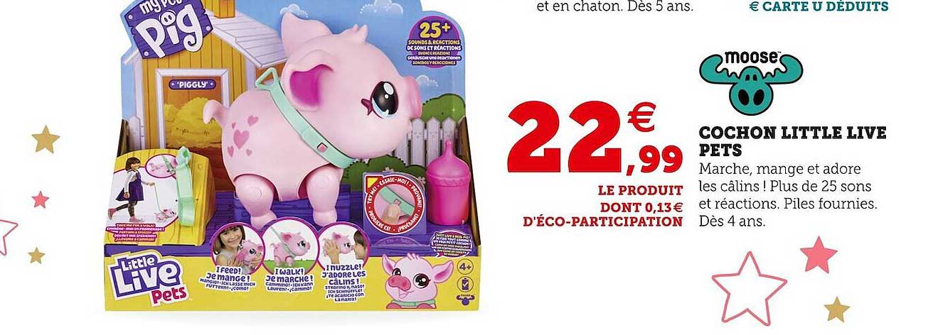 cochon little live pets