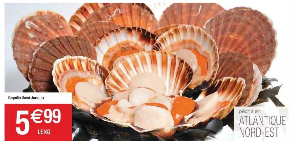 coquille saint-jacques