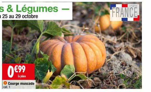 courge muscade