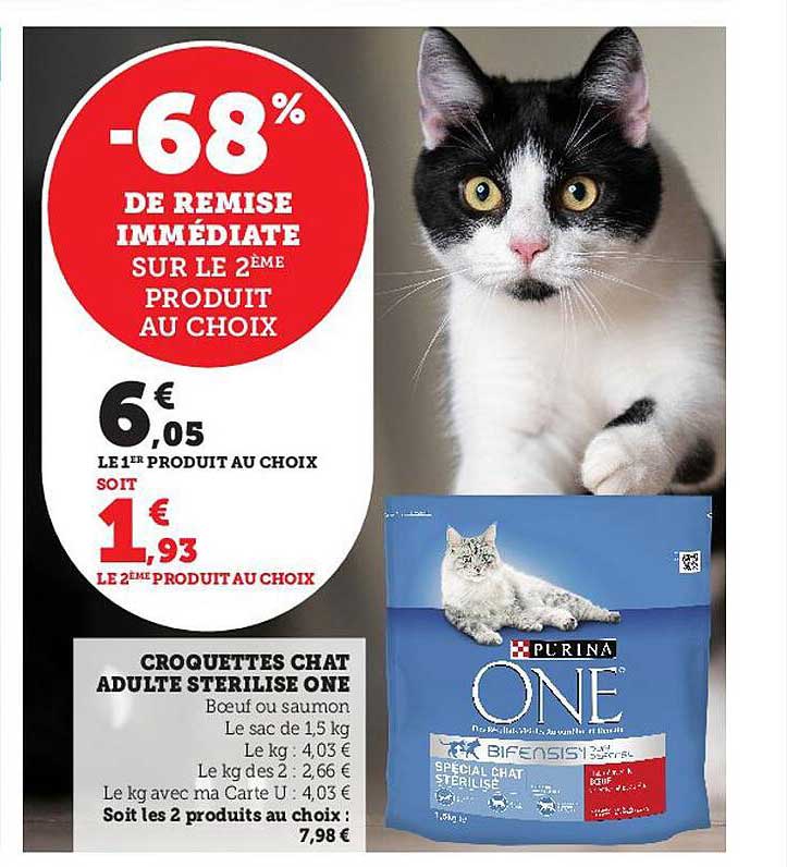 Croquettes Chat Adultes Stérilisé One -68% De Remise Immédiate