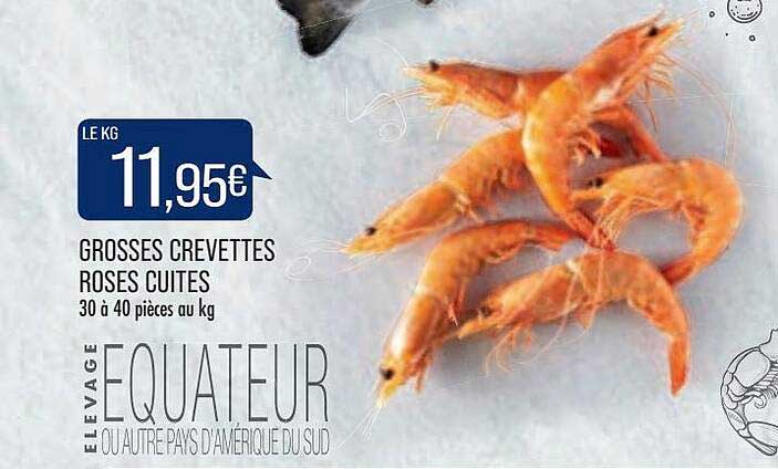 grosses crevettes roses cuites