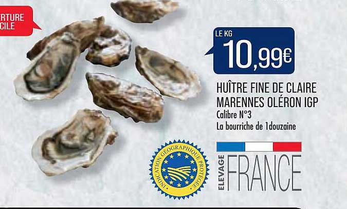 huître fine de claire marennes oléron igp