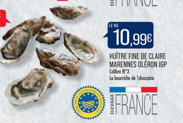 huître fine de claire marennes oléron igp