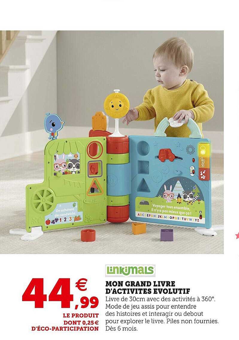 mon grand livre d'activités évolutif linkimals