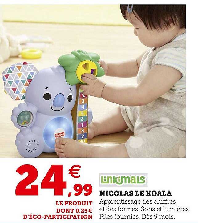 nicolas le koala linkimals