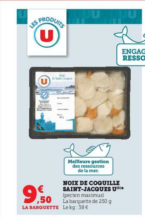 noix de coquille saint-jacques u
