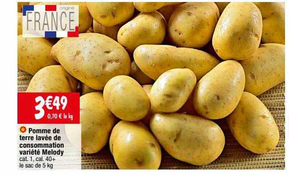 pomme de terre lavée de consommation variété melody