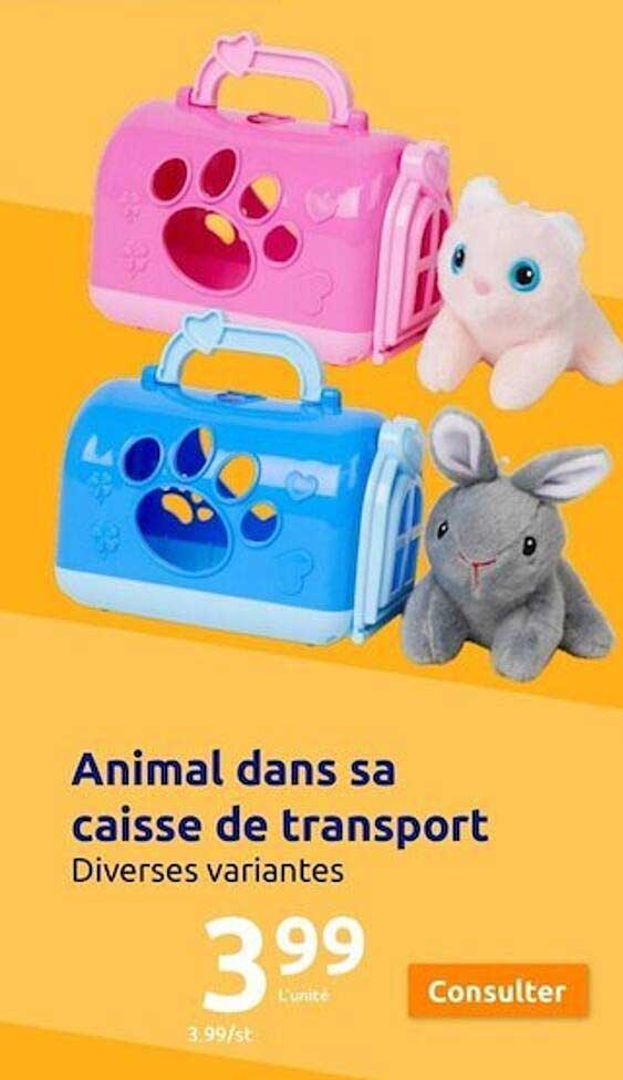 animal dans sa caisse de transport