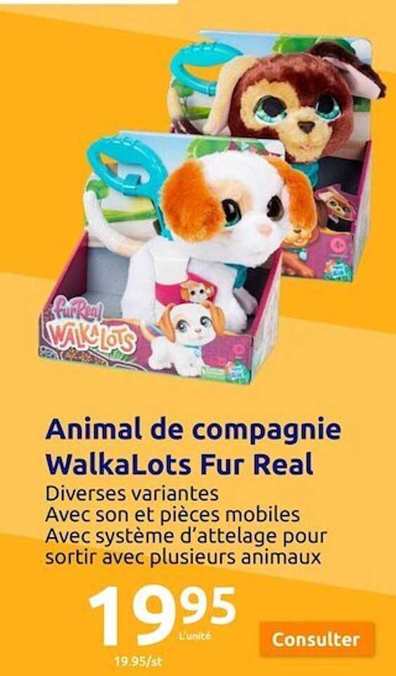 animal de compagnie walkaots fur real