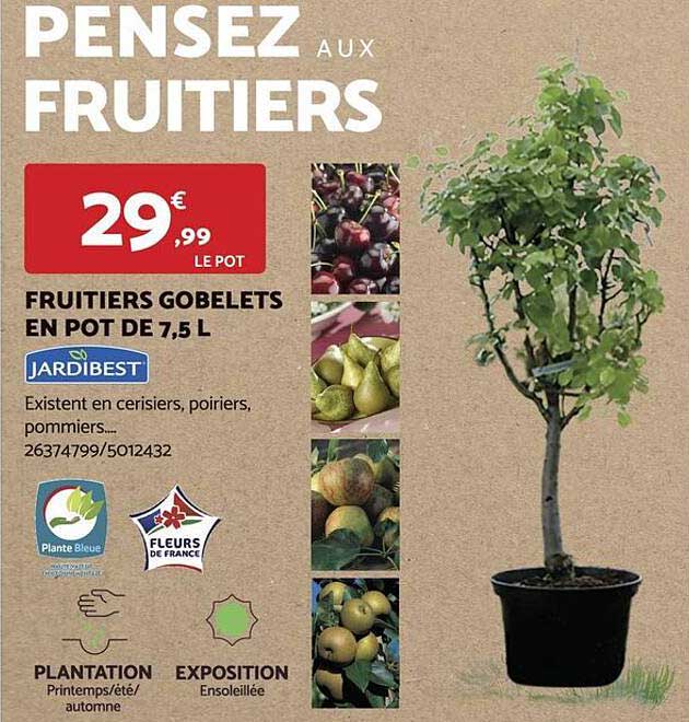 fruitiers gobelets en pot de 7,5 l  jardibest