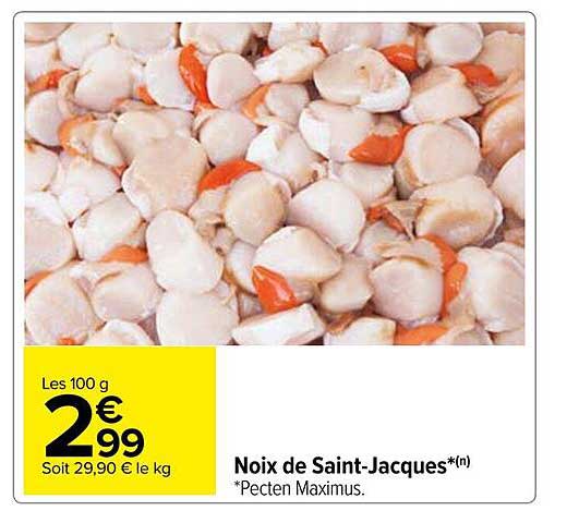 noix de saint-jacques