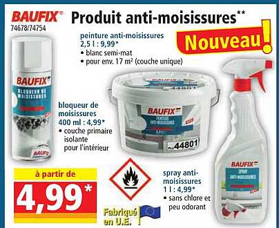 produit anti-moisissures baufix