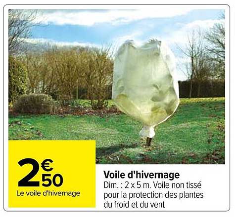 Voile D'hivernage