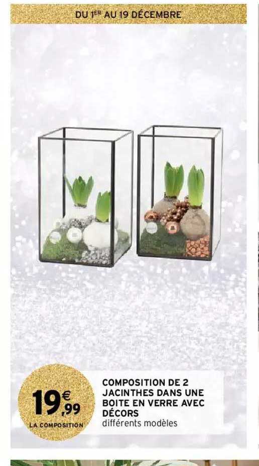 Composition De 2 Jacinthes Dans Une Boîte En Verre Avec Décors