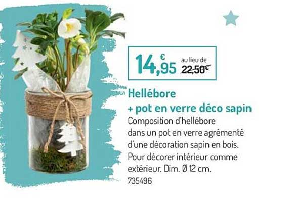 hellébore + pot en verre déco sapin