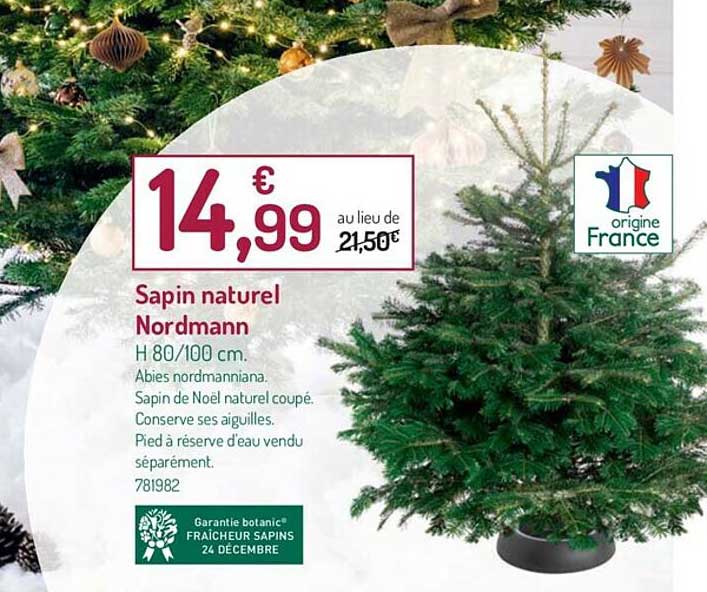 sapin naturel nordmann