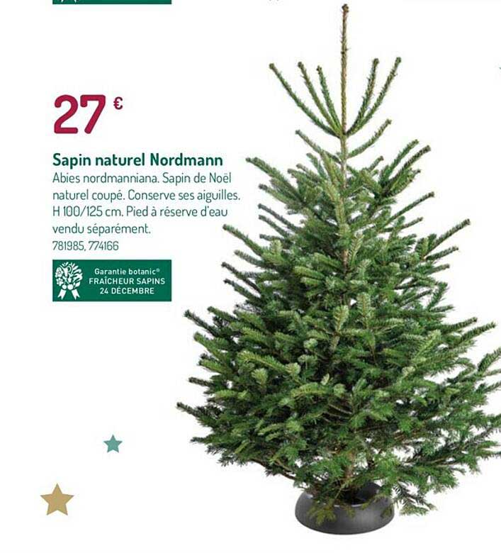 sapin naturel nordmann
