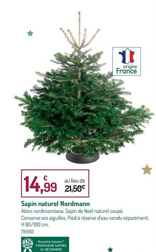 sapin naturel nordmann
