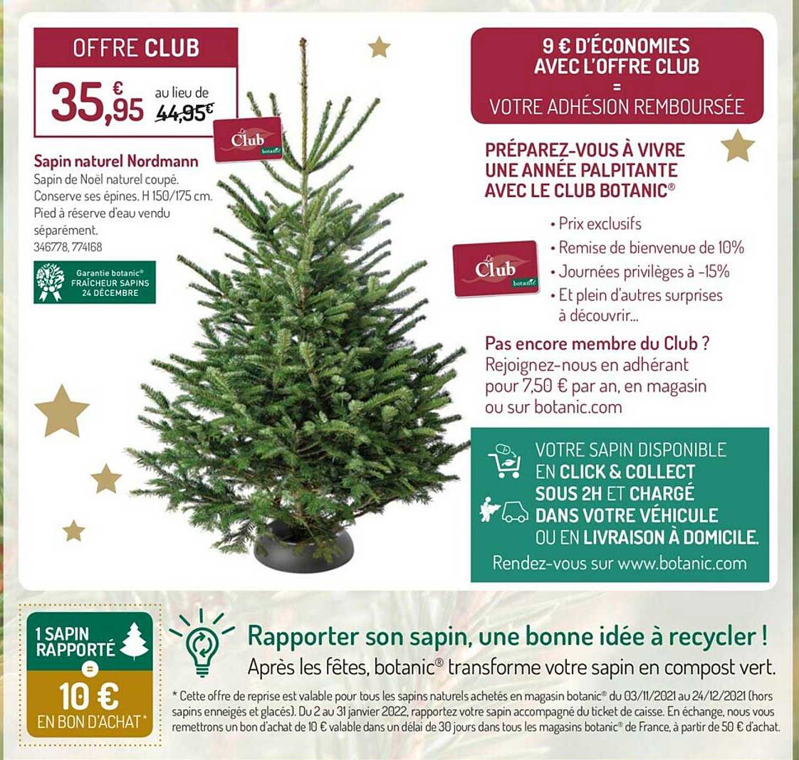 sapin naturel nordmann