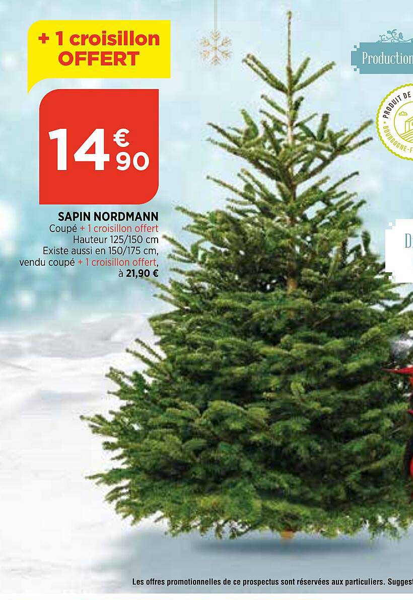 sapin nordmann