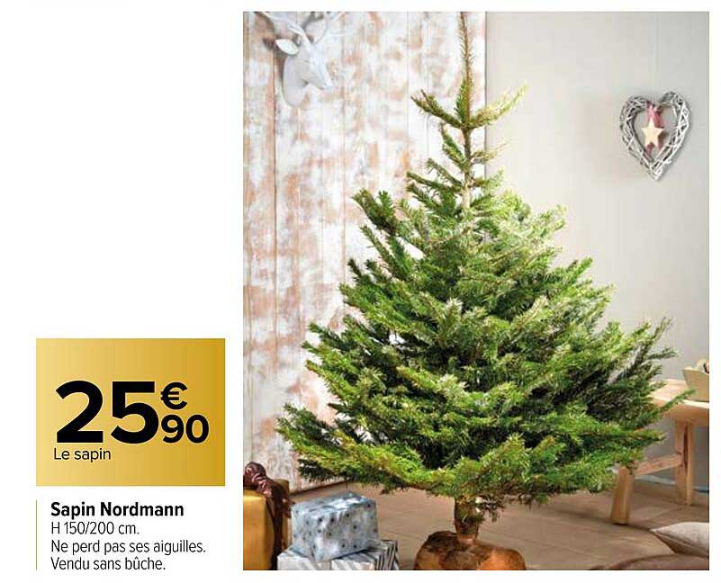 sapin nordmann