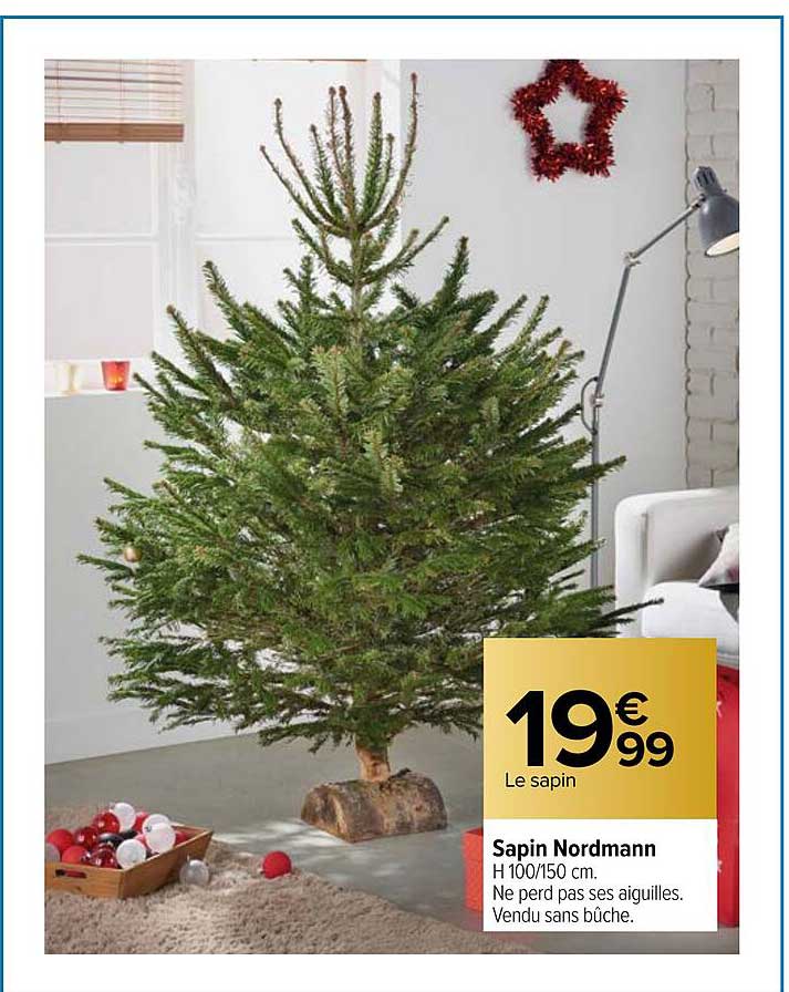sapin nordmann