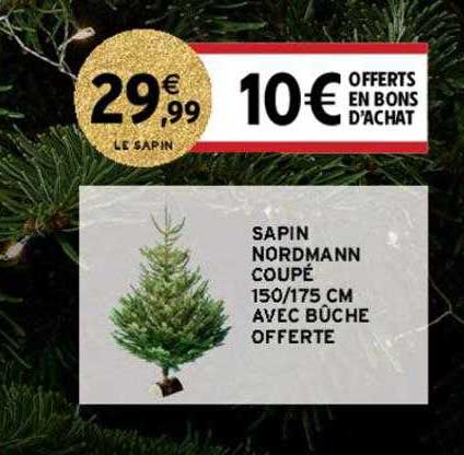 sapin nordmann coupé 150-175 cm avec bûche offerte