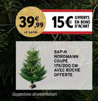 sapin nordmann coupé 175-200 cm avec bûche offerte