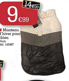 manteau d'hiver pour chien