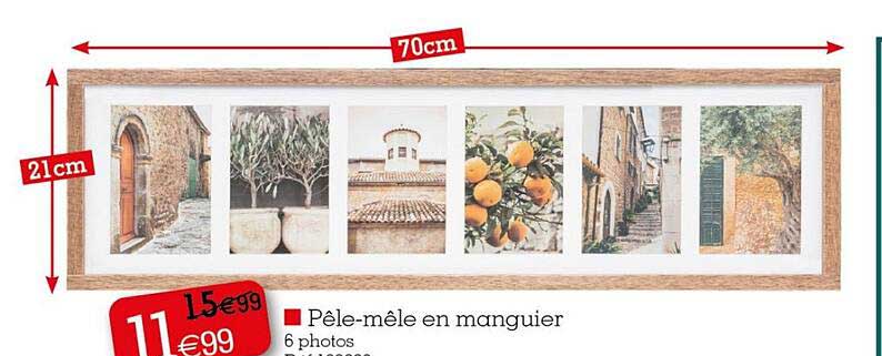 pêle-mêle en manguier 6 photos