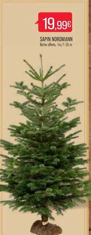 sapin nordmann