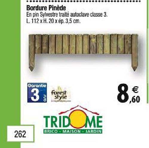 bordure pinède forest style