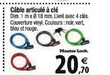 câble articulé à clé master lock