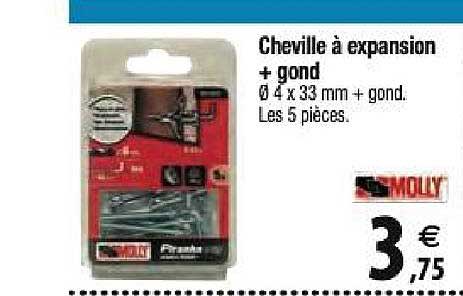 cheville à expansion + gond