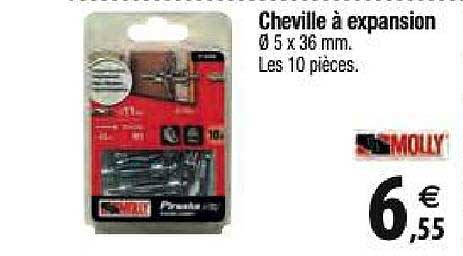 cheville à expansion molly