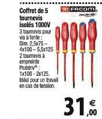 coffret de 5 tournevis isolés 1000w