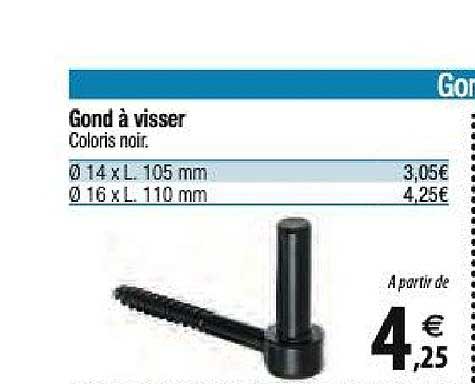 gond à visser