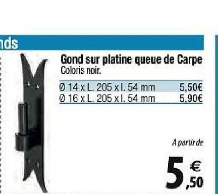 gond sur platine queue de carpe