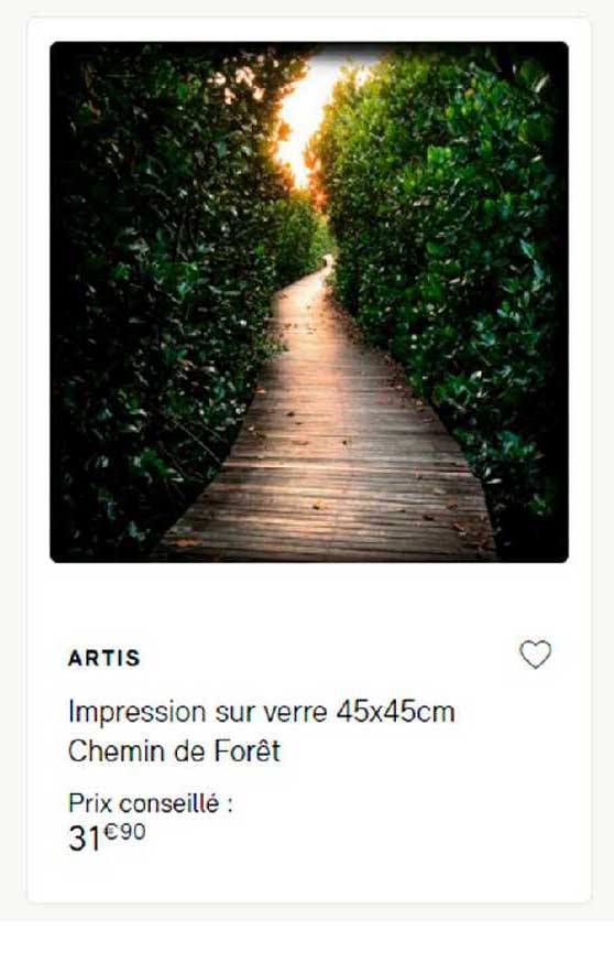 impression sur verre 45 x 45 cm chemin de forêt artis