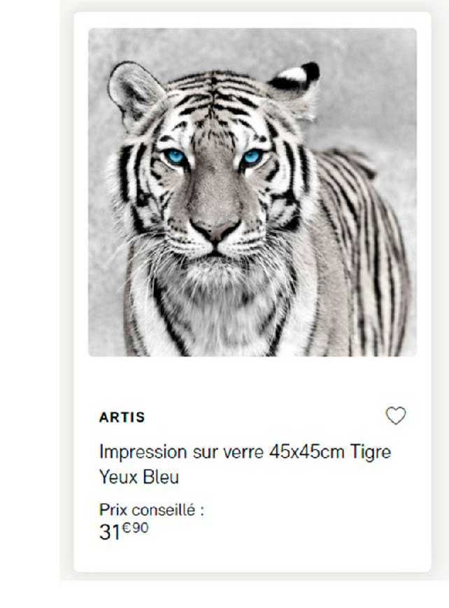 impression sur verre 45 x 45cm tigre yeux bleu artis