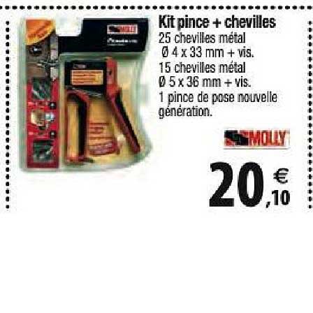 kit pince + chevilles molly